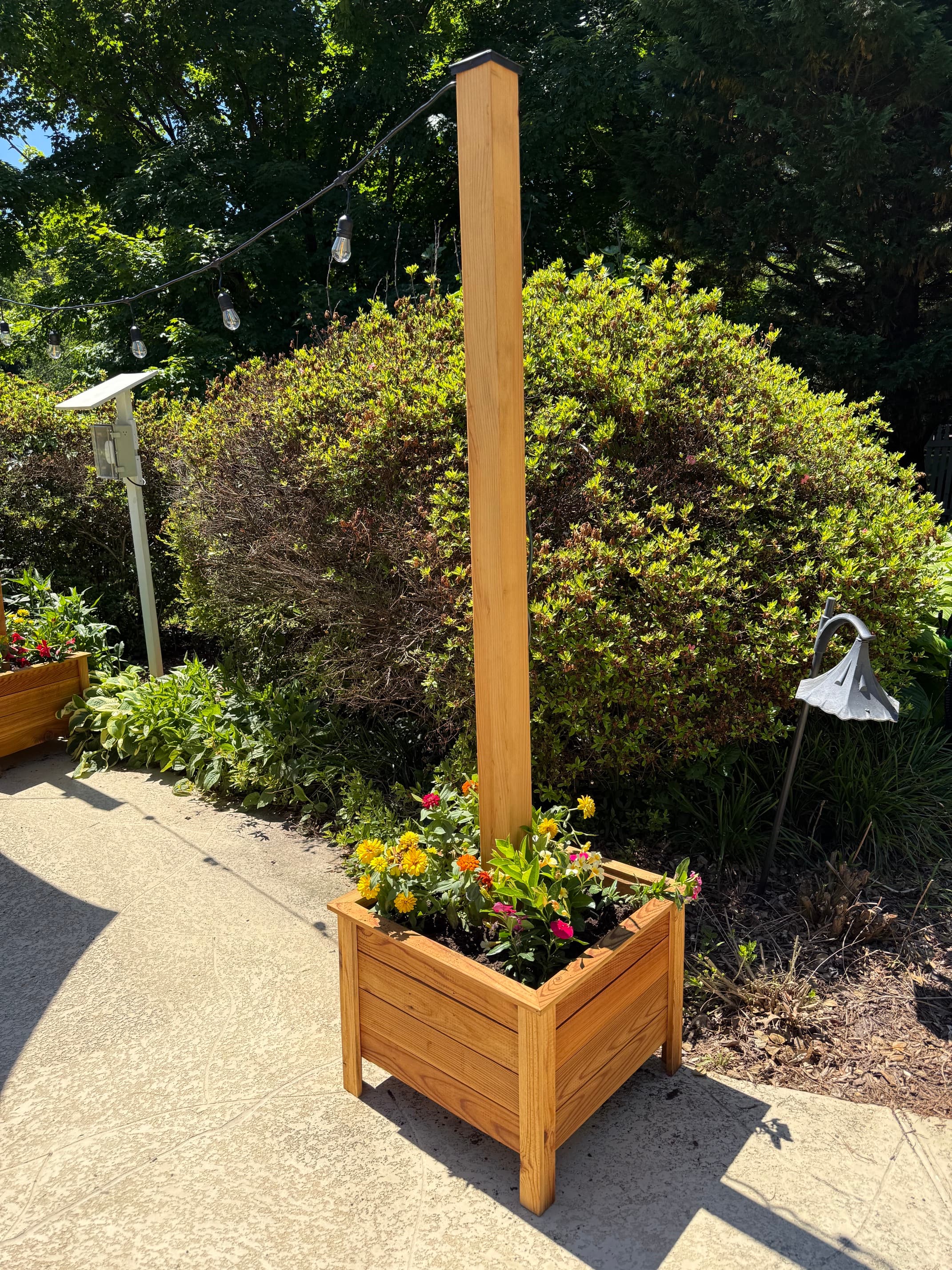 Handmade cedar planter filled with flowers and supporting outdoor string lights